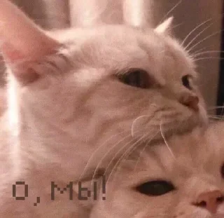 Sticker Больше стиков тут: @stikeryk - 1