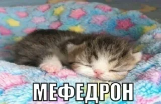 Sticker Больше стикеров 👉🏻 @stickertg4 - 2