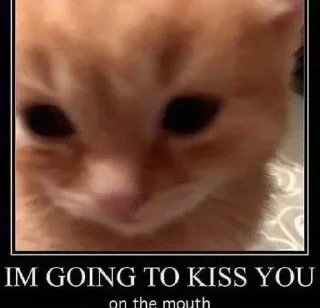 Sticker Больше стикеров 👉🏻 @stickertg4 - 9