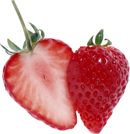 Sticker NKIARGPMDN_by_stikers_du_ark_bot - 1