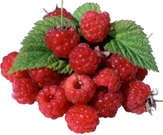 Стикер @sticksbb 🩷 <- канал со стиками - 5