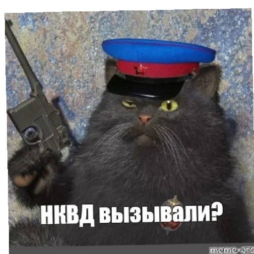 small to medium-sized cats whiskers felidae