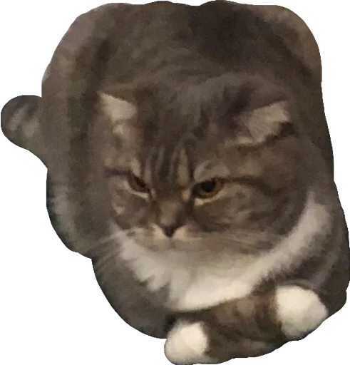 Стикер NKmood - 1