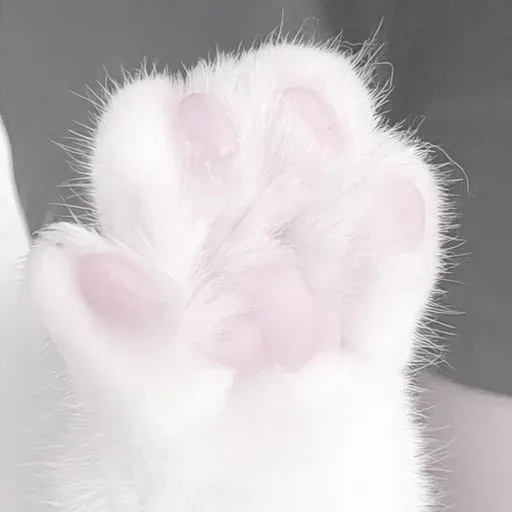 Sticker NLHiiZY_by_achestickbot - 1