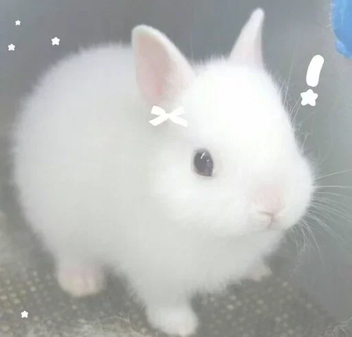 Sticker NLHiiZY_by_achestickbot - 1