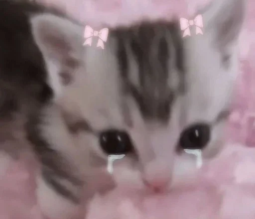 Sticker NLHiiZY_by_achestickbot - 1