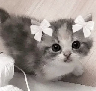 Стикер Больше стиков тут: @stikery4 - 2