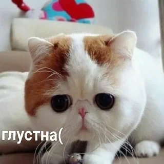 Стикер Больше стиков тут: @stikery4 - 7