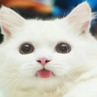 Стикер Больше стиков тут: @stikery4 - 3