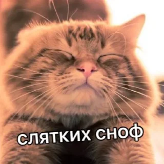 Стикер Больше стиков тут: @stikery4 - 2