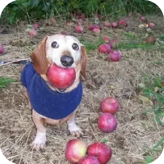 Sticker Больше стиков тут: @stikery4 - 3