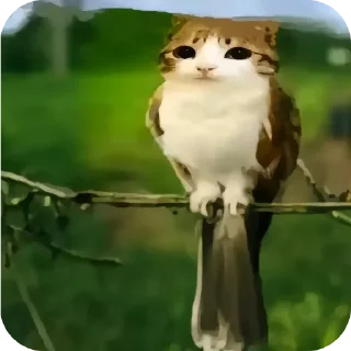 Sticker Больше стиков тут: @stikery4 - 4