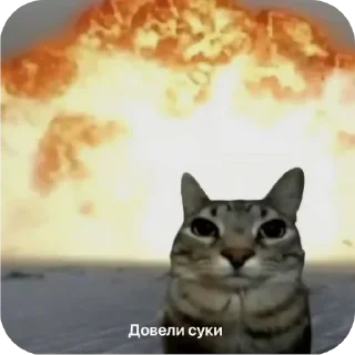 Sticker Больше стиков тут: @stikery4 - 1