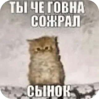 Sticker Больше стиков тут: @stikery4 - 9