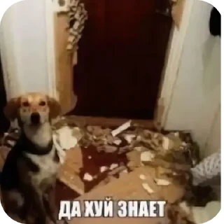 Sticker Больше стиков тут: @stikery4 - 5