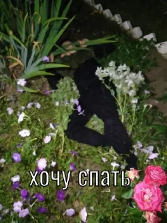 Sticker 😌🤌 - 4