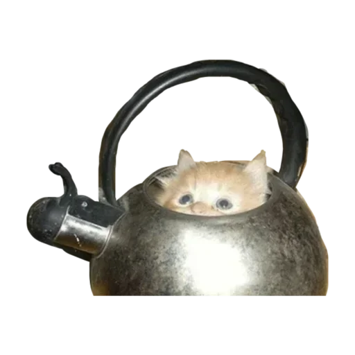 Стикер NPwBzXEXmIV_by_stickers_stealer_bot - 1