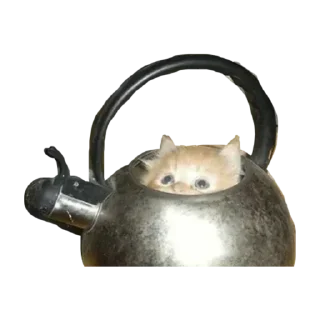 Sticker Больше стикеров 👉🏻 @stickertg4 - 4