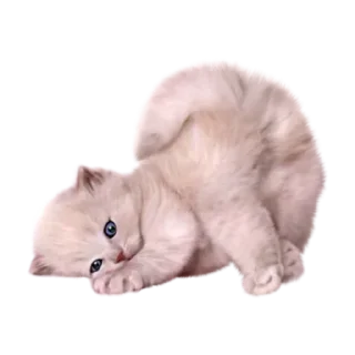 Sticker Больше стикеров 👉🏻 @stickertg4 - 9