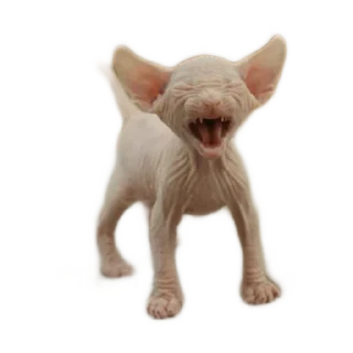 Sticker Больше стикеров 👉🏻 @stickertg4 - 10