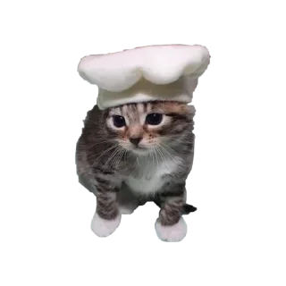 Sticker Больше стикеров 👉🏻 @stickertg4 - 0