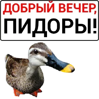 Стикер Больше стикеров 👉🏻 @stickertg4 - 9