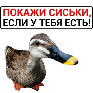 Стикер Больше стикеров 👉🏻 @stickertg4 - 4