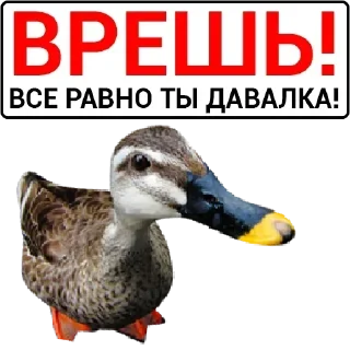 Стикер Больше стикеров 👉🏻 @stickertg4 - 8