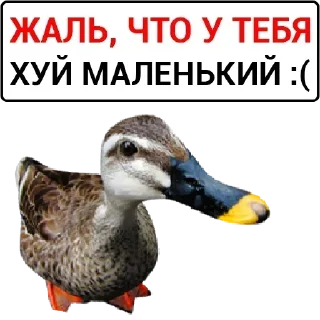 Стикер Больше стикеров 👉🏻 @stickertg4 - 2