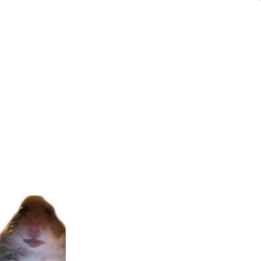 Sticker NQPXSKHEYA_by_stikeri_stikeri_bot - 1