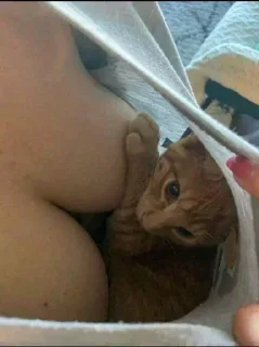 Sticker Больше стикеров тут: @allstickers_tg - 6