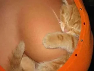 Sticker Больше стикеров тут: @allstickers_tg - 11