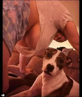 Sticker Больше стикеров тут: @allstickers_tg - 5