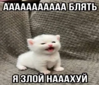 Sticker Больше стиков тут: @stikery4 - 3