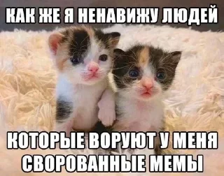 Sticker Больше стиков тут: @stikery4 - 0