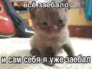 Sticker Больше стиков тут: @stikery4 - 6