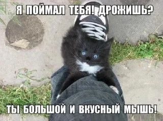 Sticker Больше стиков тут: @stikery4 - 4