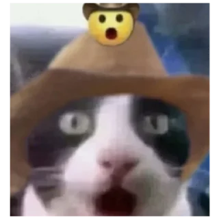 Sticker Ебейший кот - 6