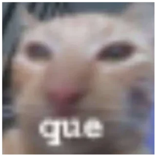 Sticker Ебейший кот - 11