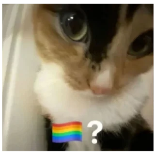 Sticker Ебейший кот - 8