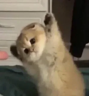 Стикер Больше стикеров 👉🏻 @stickertg4 - 8