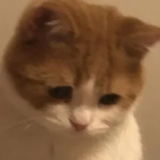 Стикер Больше стикеров 👉🏻 @stickertg4 - 6