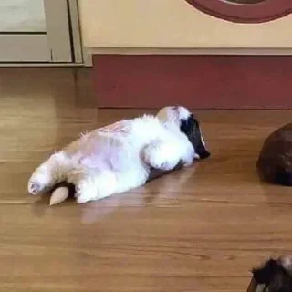 Стикер Больше стикеров 👉🏻 @stickertg4 - 7