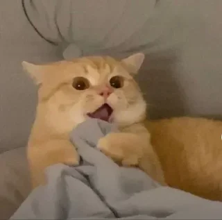 Стикер Больше стикеров 👉🏻 @stickertg4 - 10