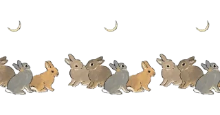 Стикер ˗ˏˋ borders┊͙@nyawrwar ˎˊ˗ - 7