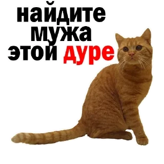 Sticker Больше стиков тут: @stikery4 - 8