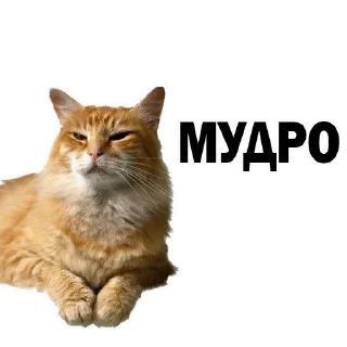 Sticker Больше стиков тут: @stikery4 - 11