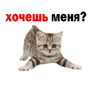 Sticker Больше стиков тут: @stikery4 - 9