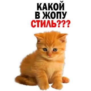 Sticker Больше стиков тут: @stikery4 - 1