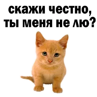 Sticker Больше стиков тут: @stikery4 - 3